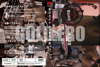 ʼ̵DVD ΢DVD ɥ㡼 ʥѼĴ Vol.29 [ͼ]