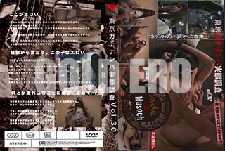 ʼ̵DVD ΢DVD ɥ㡼 ʥѼĴ Vol.30 []