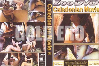 ʼ̵DVD ΢DVD ɥ㡼 Caledonian Movie 6 [-]