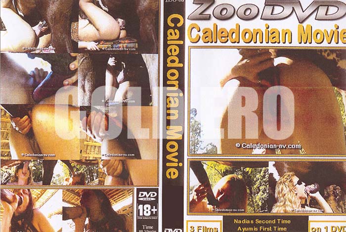 ʼ̵DVD ΢DVD ɥ㡼 Caledonian Movie 8 [-]