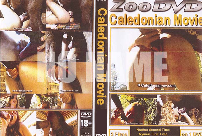 ʼ̵DVD΢DVD ɥ㡼 Caledonian Movie 8 [-]