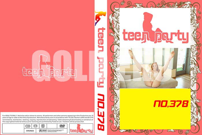 ʼ̵DVD΢DVD ɥ㡼 teen party no.378 [-]