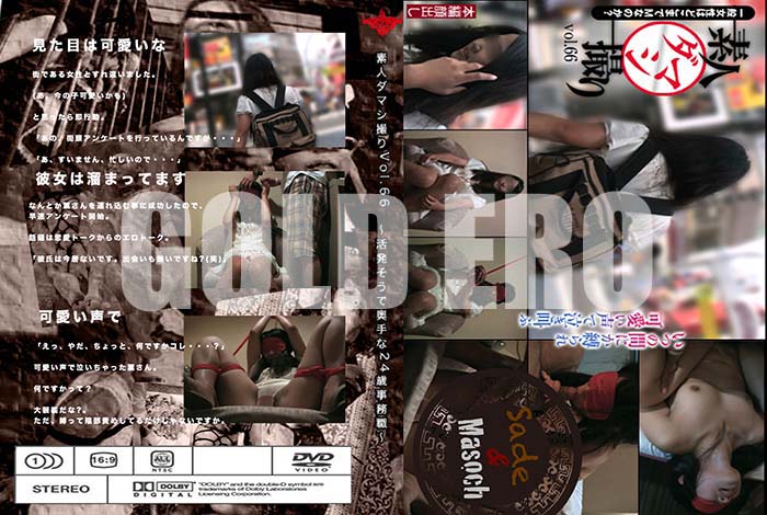 ʼ̵DVD΢DVD ɥ㡼 ǿͥޥ Vol.66 ȯǱ24л̳ []