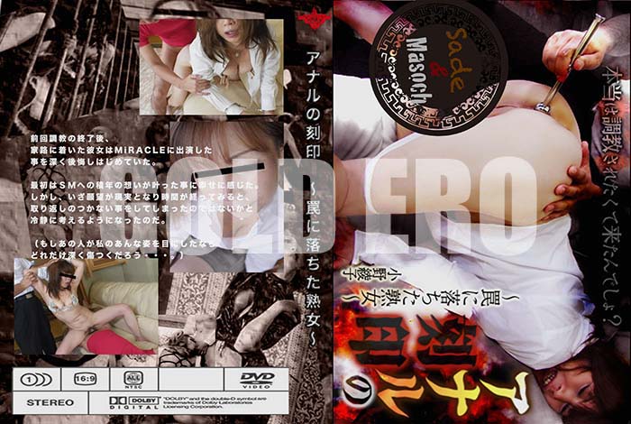 ʼ̵DVD΢DVD ɥ㡼 ʥι 櫤Ͻ []