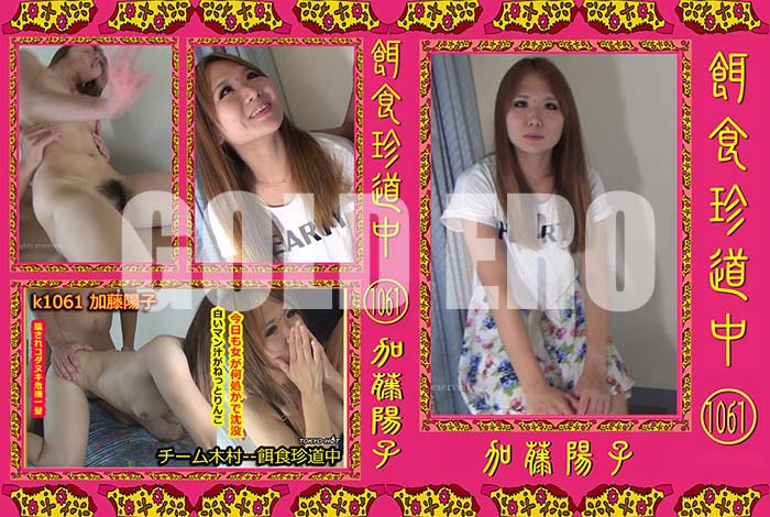 ʼ̵DVD΢DVD ɥ㡼 ¿ƻ 1061 [ƣۻ]