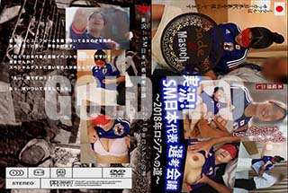 ʼ̵DVD ΢DVD ɥ㡼 ¶SMɽͲ 2018ǯؤƻ [ᵪ]