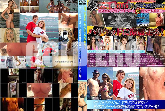 ʼ̵DVD΢DVD ɥ㡼 iCloudפ˥ϥå󥰹⤫֤Υץ饤١ֲ¿ήС [󥼥ӡ]