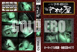 ʼ̵DVD ΢DVD ɥ㡼 Τ ¼å̤Խ̵ Vol.10 [-]