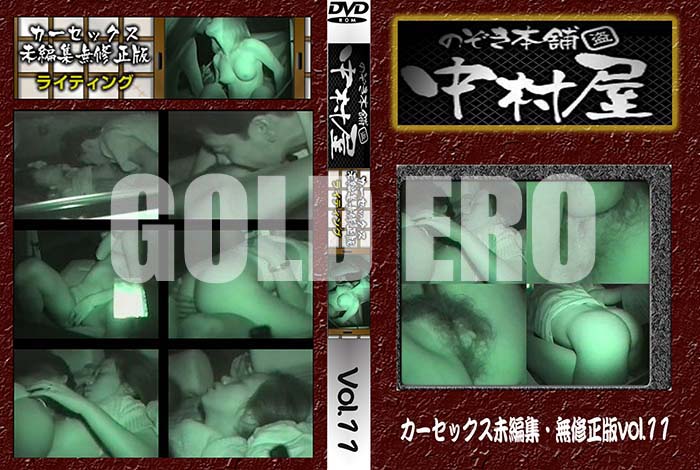 ʼ̵DVD΢DVD ɥ㡼 Τ ¼å̤Խ̵ Vol.11 [-]