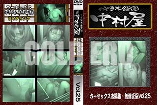 ʼ̵DVD ΢DVD ɥ㡼 Τ ¼å̤Խ̵ Vol.25 [-]