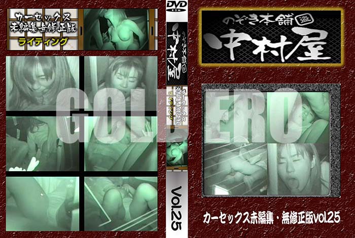 ʼ̵DVD΢DVD ɥ㡼 Τ ¼å̤Խ̵ Vol.25 [-]