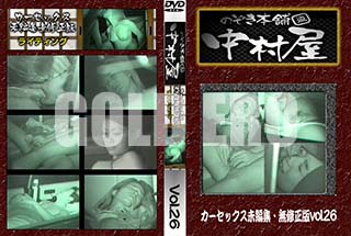 ʼ̵DVD ΢DVD ɥ㡼 Τ ¼å̤Խ̵ Vol.26 [-]