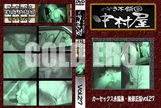 ʼ̵DVD ΢DVD ɥ㡼 Τ ¼å̤Խ̵ Vol.27 [-]