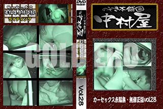 ʼ̵DVD ΢DVD ɥ㡼 Τ ¼å̤Խ̵ Vol.28 [-]