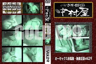 ʼ̵DVD ΢DVD ɥ㡼 Τ ¼å̤Խ̵ Vol.29 [-]