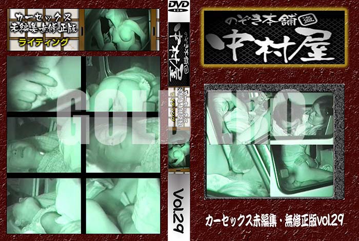 ʼ̵DVD΢DVD ɥ㡼 Τ ¼å̤Խ̵ Vol.29 [-]