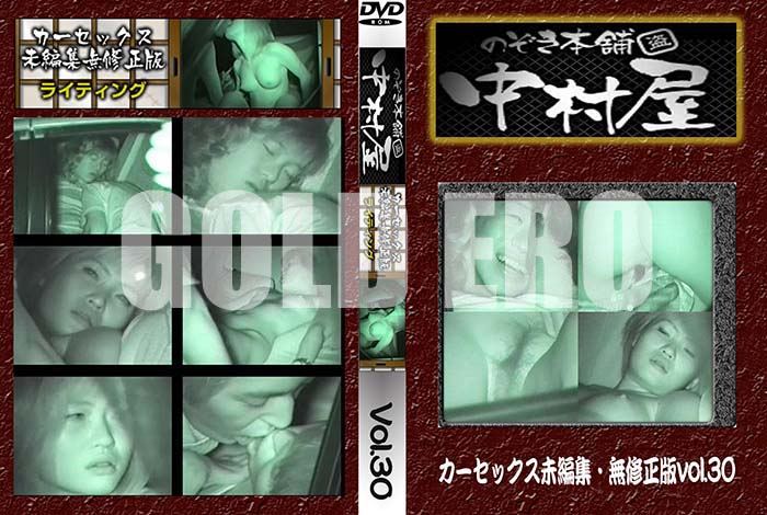 ʼ̵DVD΢DVD ɥ㡼 Τ ¼å̤Խ̵ Vol.30 [-]