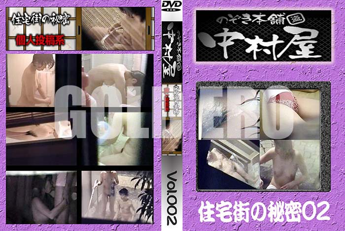 ʼ̵DVD΢DVD ɥ㡼 Τ ¼𳹤̩ 02 [-]