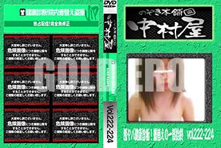 ʼ̵DVD ΢DVD ɥ㡼 Τ ¼з򹯿ǡؤΰϽ vol.222224 [-]