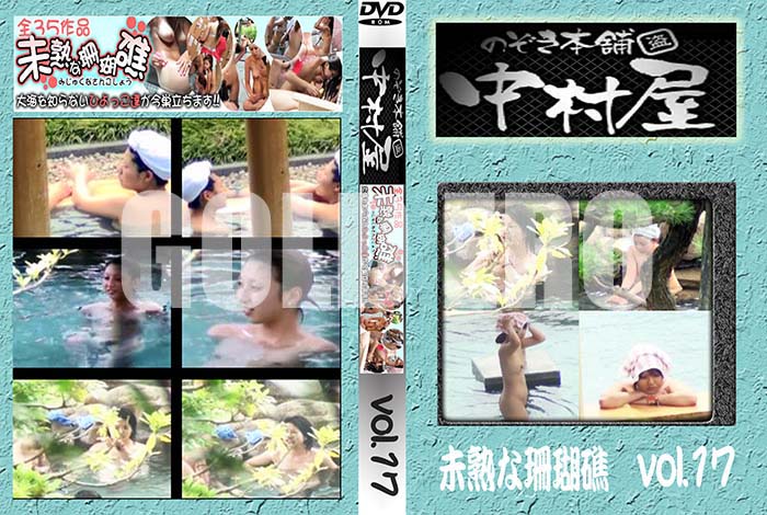 ʼ̵DVD΢DVD ɥ㡼 Τ ¼̤Ϥʻ vol.17 [-]