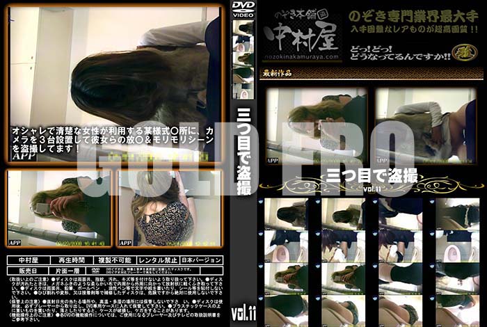 ʼ̵DVD΢DVD ɥ㡼 ܤ vol.11 [-]