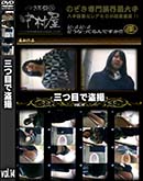 ʼ̵DVD ΢DVD ɥ㡼 ܤ vol.14 [-]