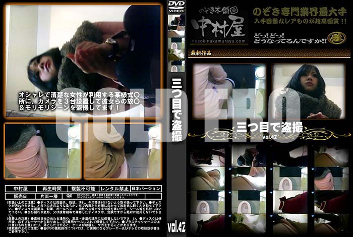 ʼ̵DVD΢DVD ɥ㡼 ܤ vol.42 [-]