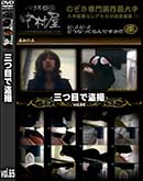 ʼ̵DVD ΢DVD ɥ㡼 ܤ vol.65 [-]