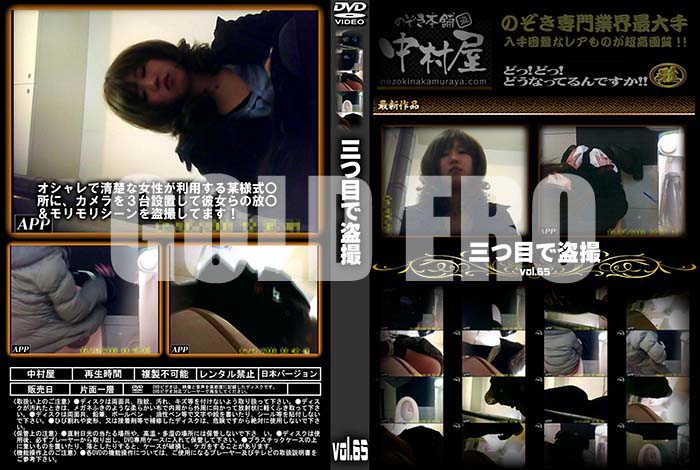 ʼ̵DVD΢DVD ɥ㡼 ܤ vol.65 [-]