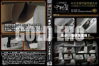 ʼ̵DVD ΢DVD ɥ㡼 ̿̽ꡪХå񡼡 vol.04 [-]