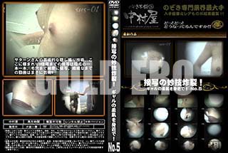 ʼ̵DVD ΢DVD ɥ㡼 ܼ̤̯νȩȶǡ No.5 [-]