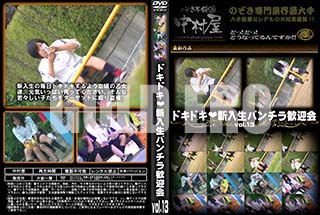 ʼ̵DVD ΢DVD ɥ㡼 ɥɥѥ鴿޲ vol.13 [-]