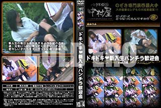 ʼ̵DVD ΢DVD ɥ㡼 ɥɥѥ鴿޲ vol.14 [-]