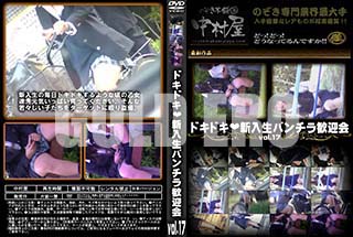 ʼ̵DVD ΢DVD ɥ㡼 ɥɥѥ鴿޲ vol.17 [-]