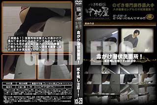 ʼ̵DVD ΢DVD ɥ㡼 ̿̽ꡪĤա vol.29 [-]