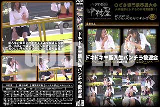 ʼ̵DVD ΢DVD ɥ㡼 ɥɥѥ鴿޲ vol.19 [-]