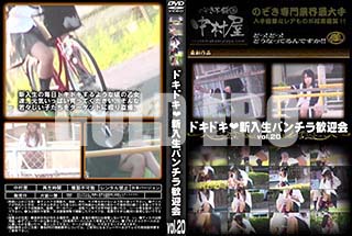 ʼ̵DVD ΢DVD ɥ㡼 ɥɥѥ鴿޲ vol.20 [-]