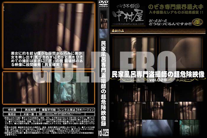 ʼ̵DVD΢DVD ɥ㡼 ̱Ϥ𻣻դĶ vol.029 [-]