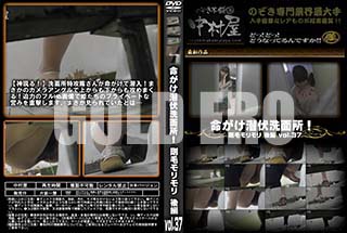 ʼ̵DVD ΢DVD ɥ㡼 ̿̽ꡪӥ  vol.37 [-]