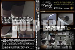 ʼ̵DVD ΢DVD ɥ㡼 ̿̽ꡪTĤ vol.43 [-]