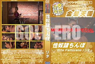 ʼ̵DVD ΢DVD ɥ㡼 8ŷ  Rita Faltoyano [꥿]