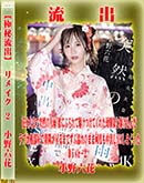 ʼ̵DVD ΢DVD ɥ㡼 ڶήСۥ⥶˲ǥᥤ Disc.2 [ϻ]