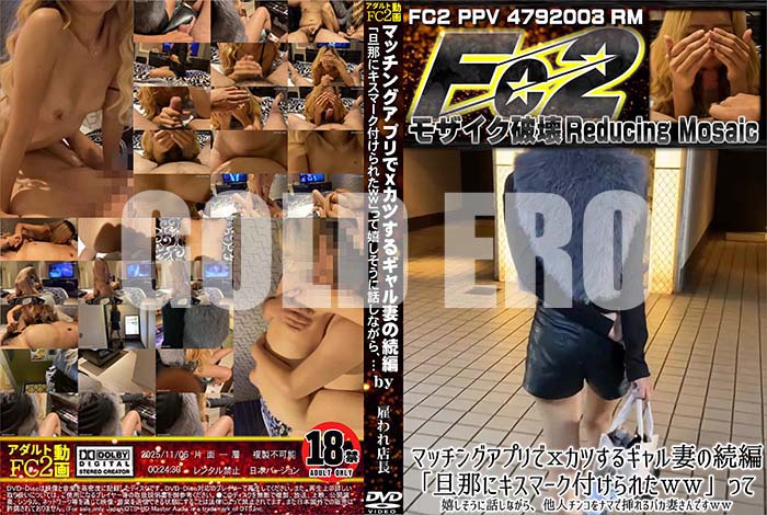 ʼ̵DVD΢DVD ɥ㡼 ޥå󥰥ץXĤ륮ʤ³ [-]